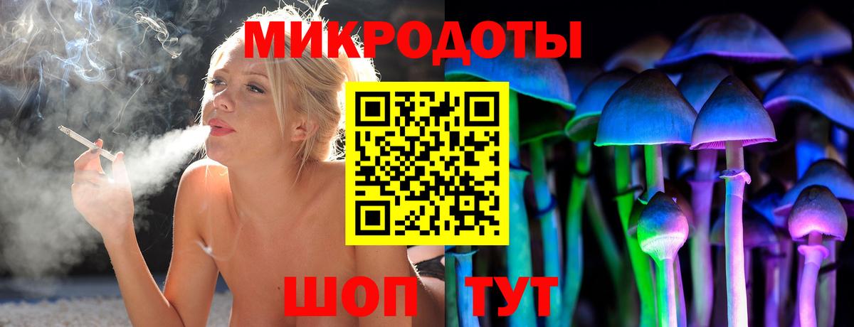 Галлюциногенные грибы Psilocybine cubensis Сунжа