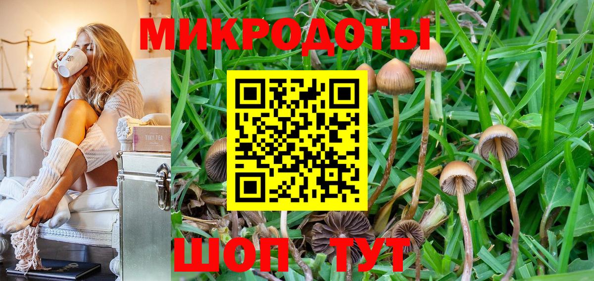 Сунжа  Галлюциногенные грибы прущие грибы  Псилоцибиновые грибы прущие грибы  Вход с VPN 